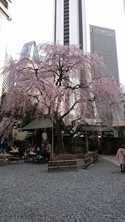 DSC_2932.jpg